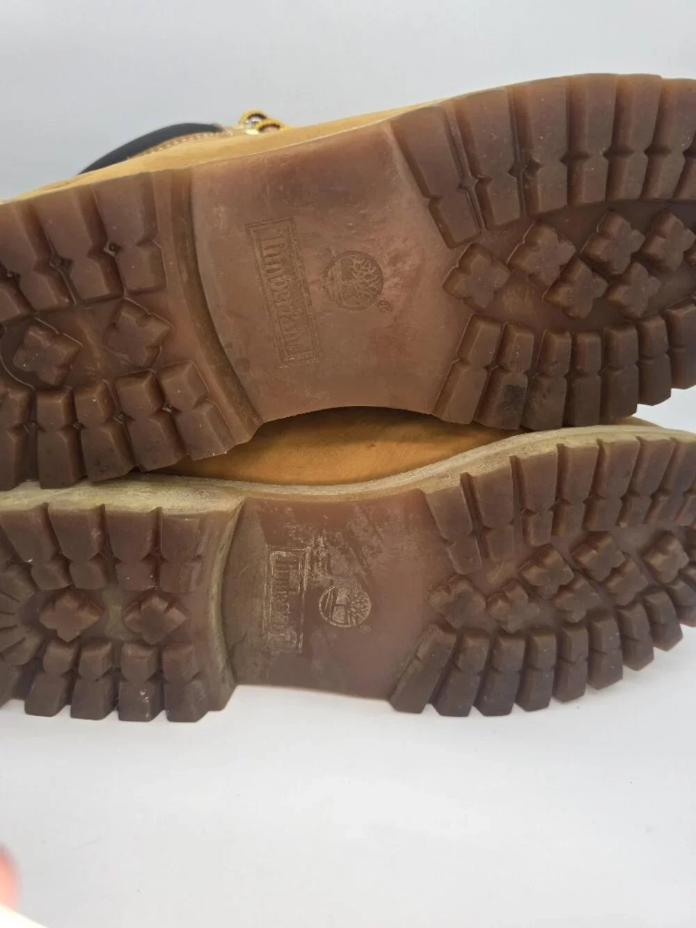 Timberland Premium 6 Inch Waterproof Boots Wheat Mens 10
